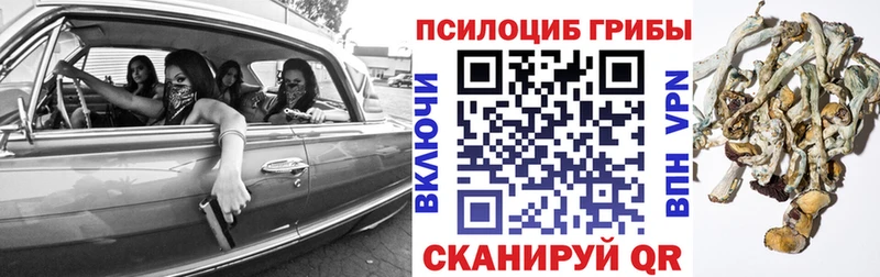 Псилоцибиновые грибы ЛСД  где продают наркотики  Гагарин 